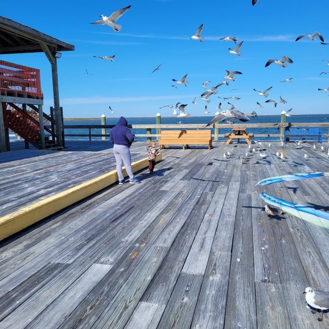 Crisfield City Dock