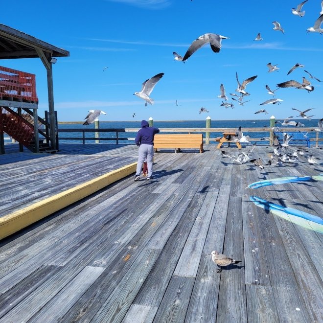 Crisfield City Dock