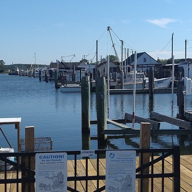Little Boat Harbor