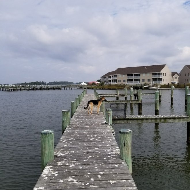 Little Boat Harbor