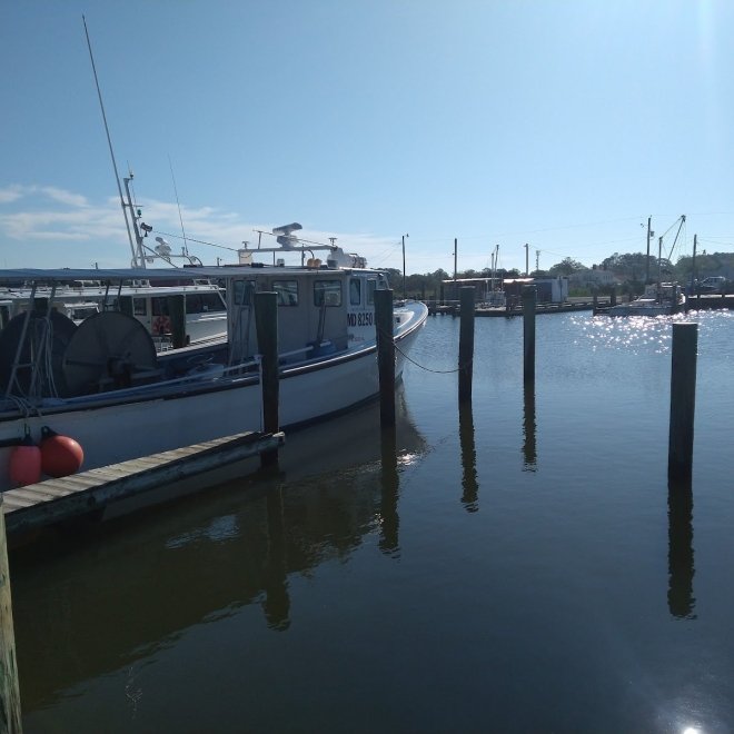 Little Boat Harbor