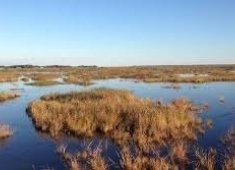 Monie Bay Water Trails