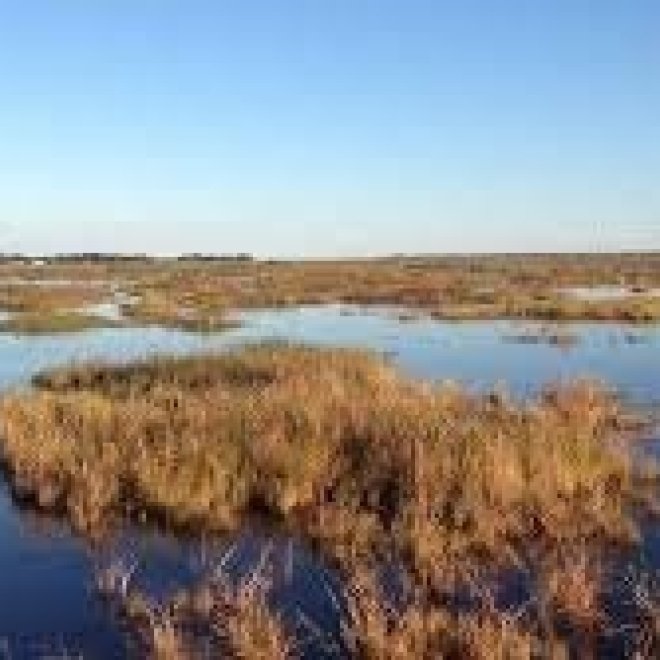 Monie Bay Water Trails