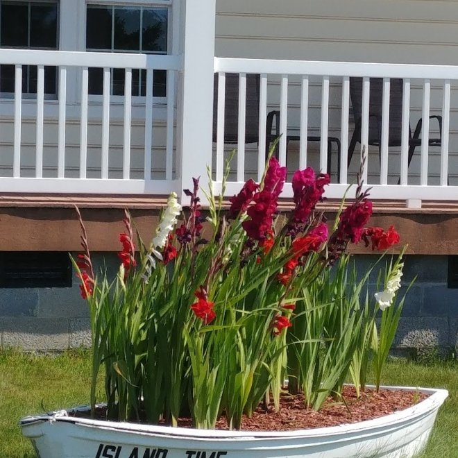 Island Time B & B