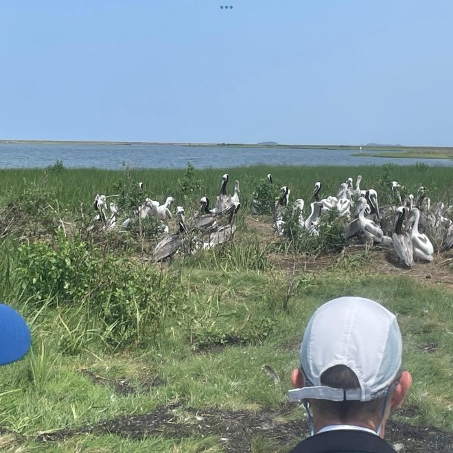 Smith Island Eco Tours and Charters