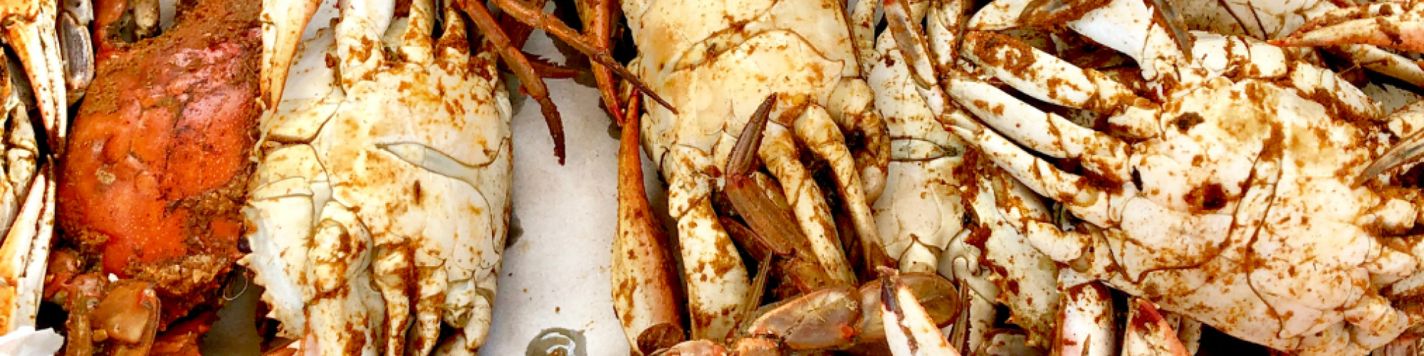 Fall Crabs & Seafood