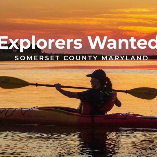Explorers Wanted...
